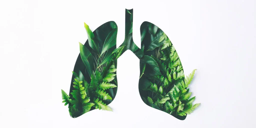 Cómo cuidar la salud respiratoria en épocas de alta contaminación | Salud respiratoria - Careplus